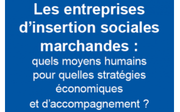 Etude : les entreprises sociales d'insertion marchandes