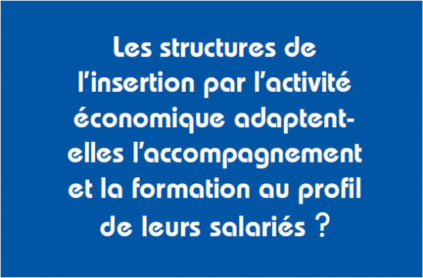 Les SIAE et l’accompagnement des salariés