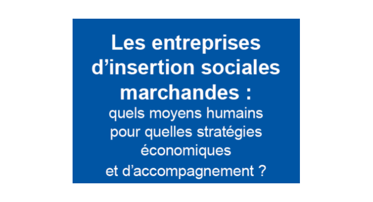 Etude : les entreprises sociales d'insertion marchandes