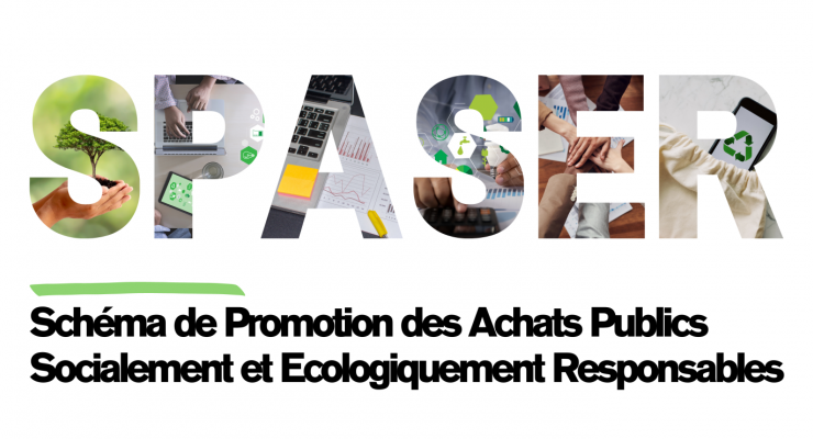 Etat des lieux des SPASER